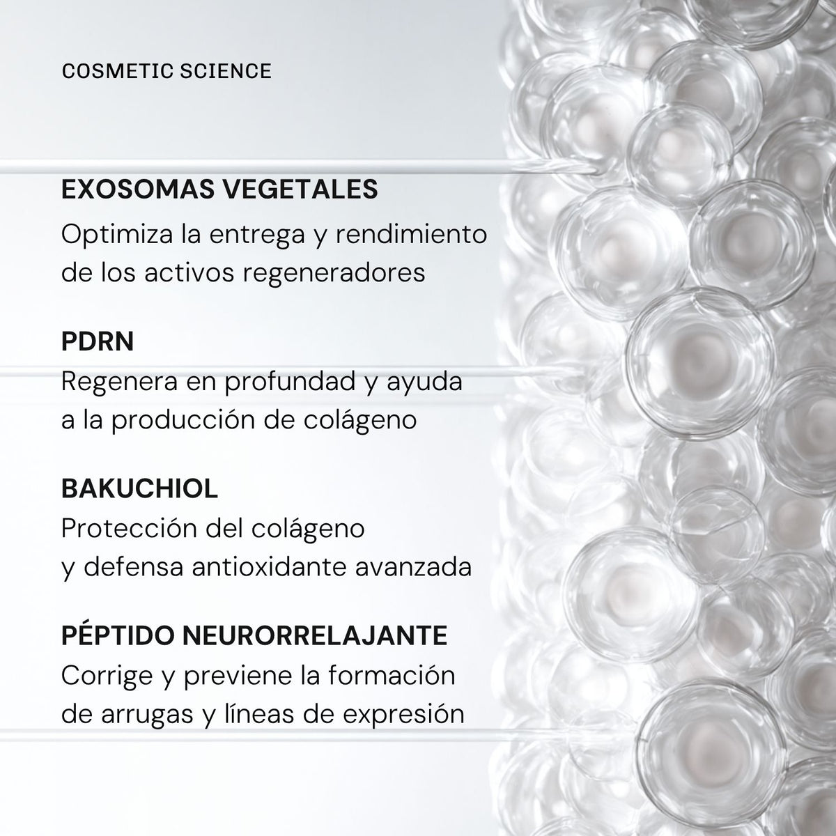 Pack Precision Longevity: Sérum, Contorno
