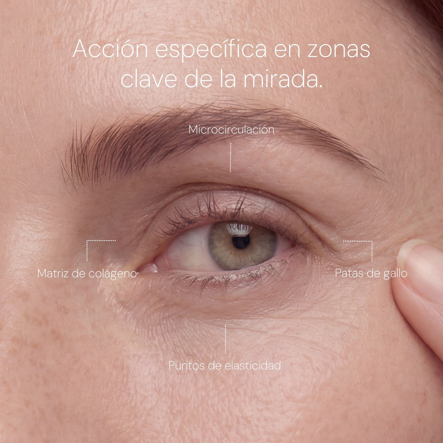 Pack Precision Longevity: Sérum, Contorno