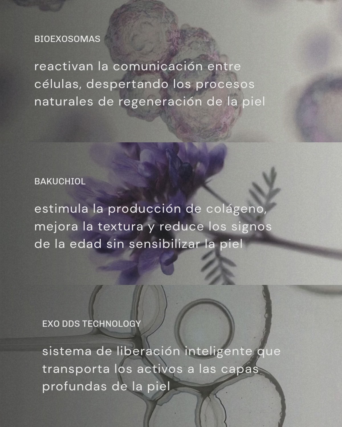 Cargar vídeo: Sérum de Exosomas Ultra Rejuvenecedor con Bioexosomas de Bakuchiol